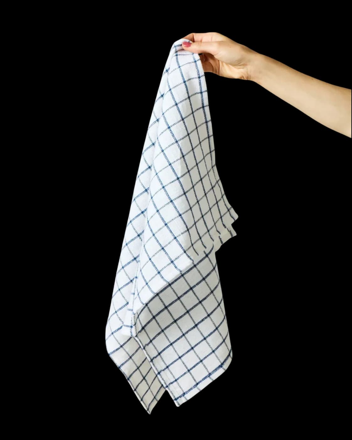 Farmhouse Pottery Pantry Check Towels